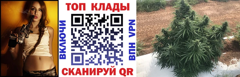 Купить наркоту Углегорск КОКАИН  Alpha-PVP  Каннабис  Гашиш 