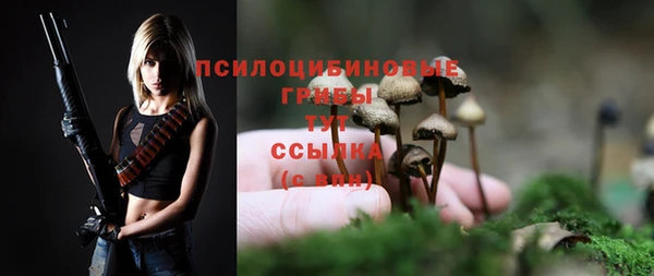 а пвп мука Балабаново