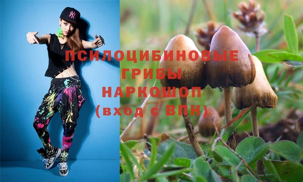 соль ск Балахна