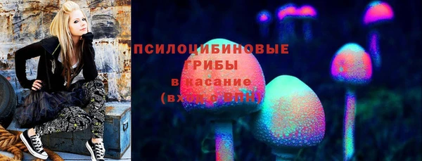 соль ск Балахна